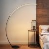 RGBW Modern Curve Floor Lamp | New Version