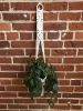 DIY Macrame Plant Hanger Kit - The Evelyn